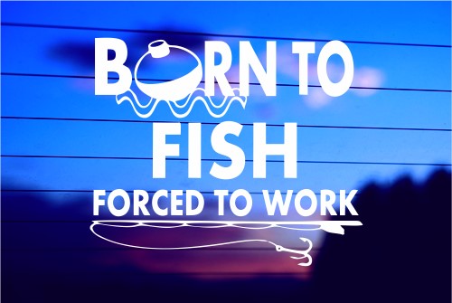 BORN TO FISH, FORCED TO WORK CAR DECAL STICKER