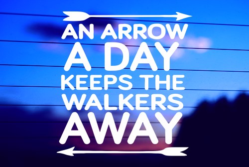 AN ARROW A DAY KEEPS THE WALKERS AWAY -THE WALKING DEAD CAR DECAL STICKER