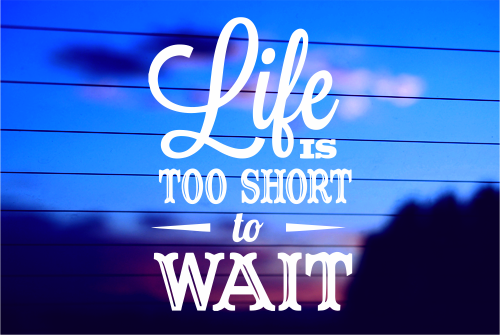 LIFE IS TOO SHORT TO WAIT CAR DECAL STICKER