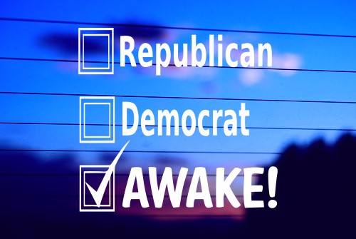 DEMOCRAT, REPUBLICAN, AWAKE CAR DECAL STICKER