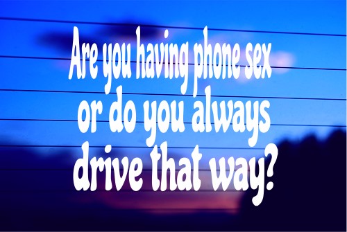 ARE YOU HAVING PHONE SEX? CAR DECAL STICKER