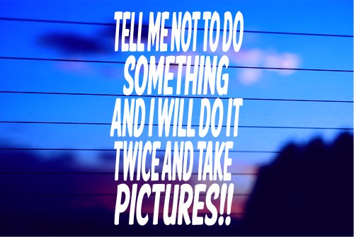 TELL ME NOT TO DO SOMETHING AND I WILL DO IT TWICE AND TAKE PICTURES CAR DECAL STICKER