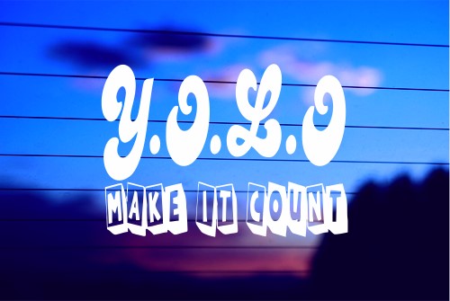 YOU ONLY LIVE ONCE – MAKE IT COUNT CAR DECAL STICKER