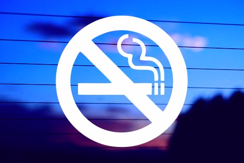 NO SMOKING DECAL STICKER